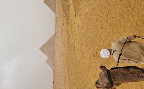 Private Full-Day Tour of Giza Pyramids and Saqqara