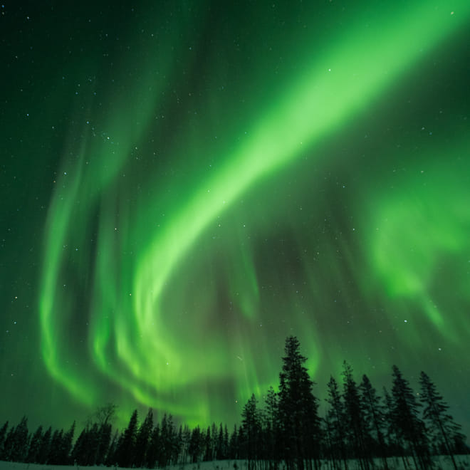 Rovaniemi: Insider Aurora Hunting