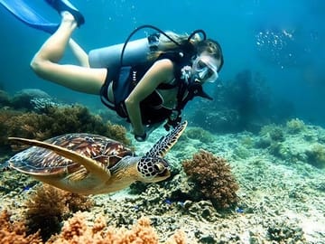 Snorkeling and Diving in Cham Islands from Da Nang or Hoi An