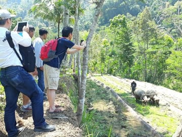 Java Village and Selogriyo Temple Tour from Borobudur