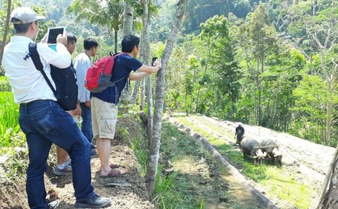 Java Village and Selogriyo Temple Tour from Borobudur