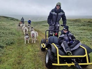 Siberian Husky dry land Dog sledding, photo 8