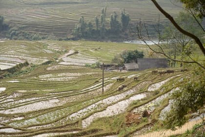 The most Stunning View – Authentic Trek in Sapa Vietnam 2 Days