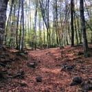 Medieval Villages & La Garrotxa Volcanic Zone Hiking 4