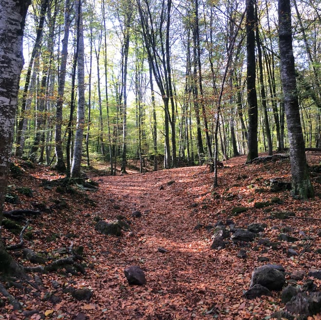 Medieval Villages & La Garrotxa Volcanic Zone Hiking 4
