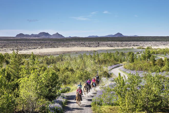 Lava Tour - Horseback Riding through the Lava Fields