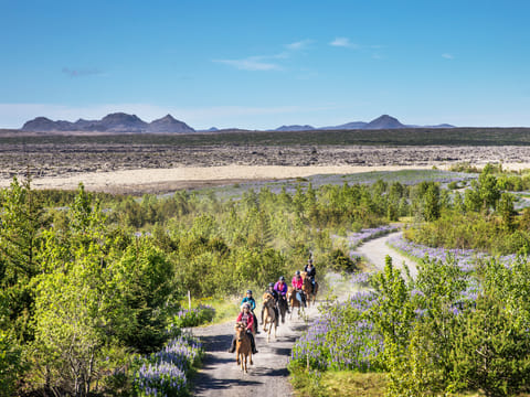 Lava Tour - Horseback Riding through the Lava Fields, photo 5