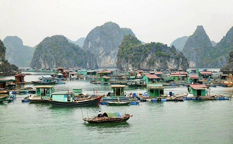 Full-Day Tour of Cat Ba Island from Hạ Long Bay