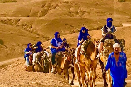 Marrakesh camel ride with dinner show
