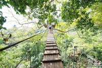 Flying Hanuman Ziplining Experience 3