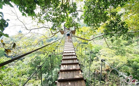 Flying Hanuman Ziplining in Phuket