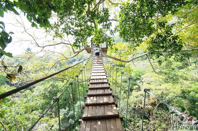 Flying Hanuman Ziplining Experience photo 3