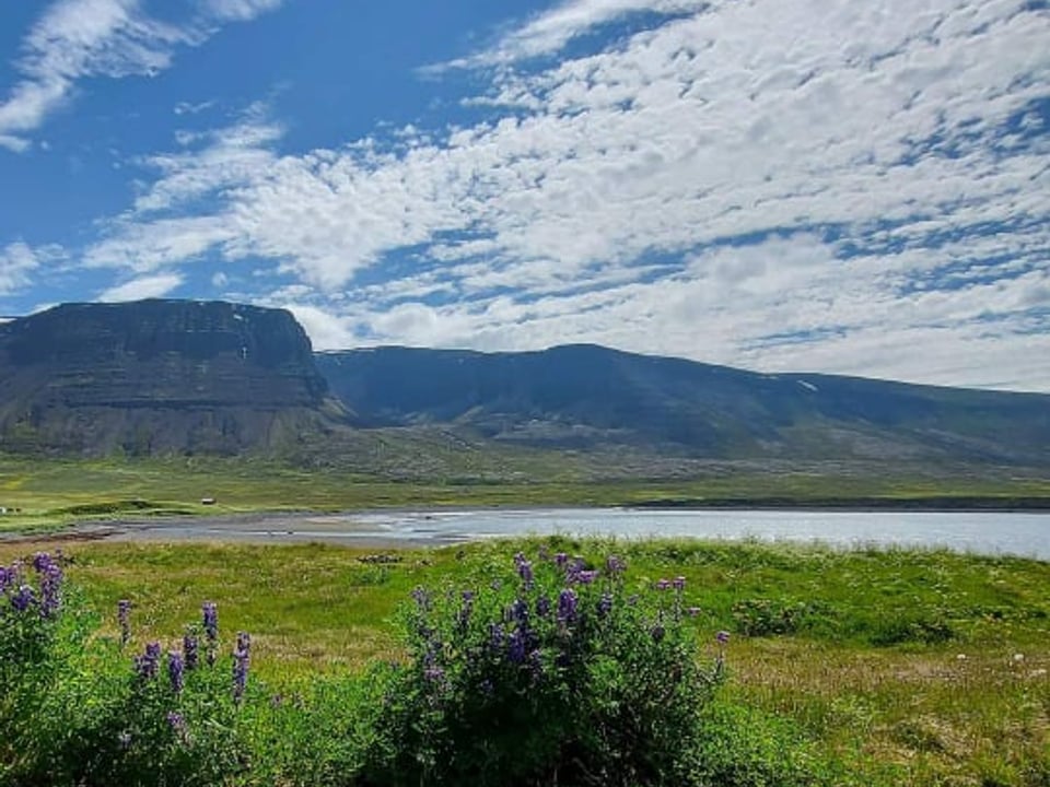 Ísafjörður - Grunnavík — Sjóferðir ehf