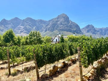 Private: Sip & Explore Stellenbosch Wine Tour