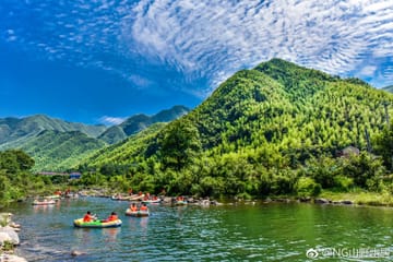 Bamboo Forest Exploration and White Tea Experience from Shanghai