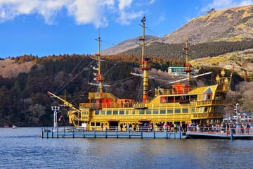 Tokyo to Hakone Customizable English Guided Private Tour