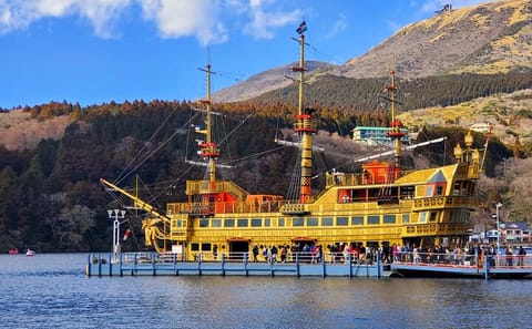 Tokyo to Hakone Customizable English Guided Private Tour