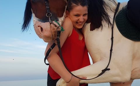 Premium 3 Hours Horse Riding Adventure with Swimming – Hurghada
