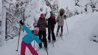 Discover Secrets of Lappish Nature – Snowshoe Experience 8
