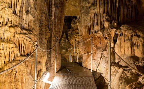 Private Day Trip from Rethymnon to Sfendoni Cave and Psiloritis
