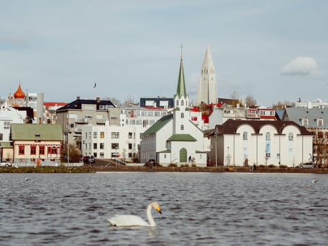 Private Reykjavik City Sightseeing, photo 4