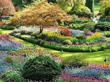 Victoria Butchart Garden