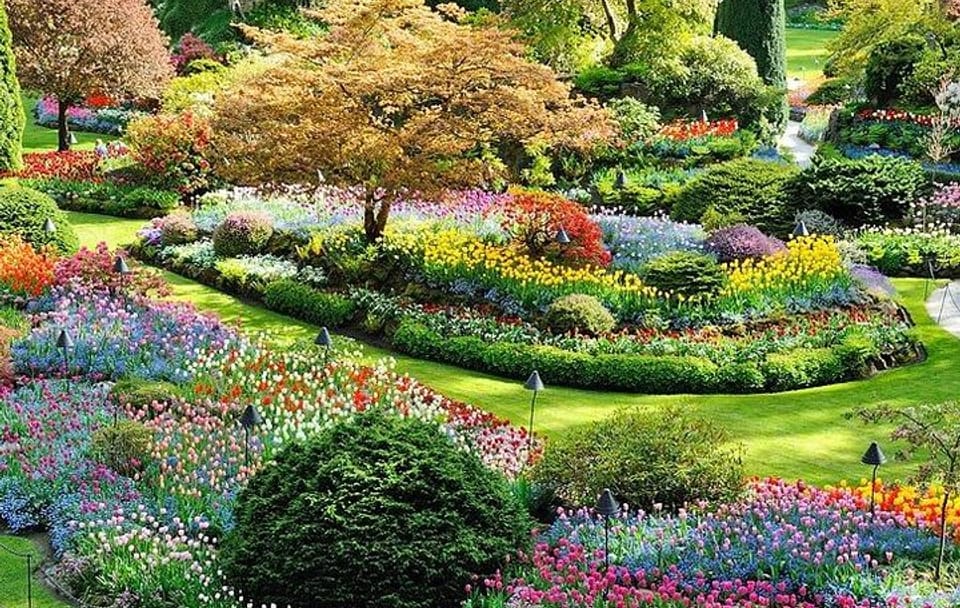 Vancouver, Victoria & Whistler 3 days in one Combo Tour.