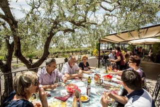 Shore Excursion with Wine & Food Tasting at Cantina del Vesuvio Winery