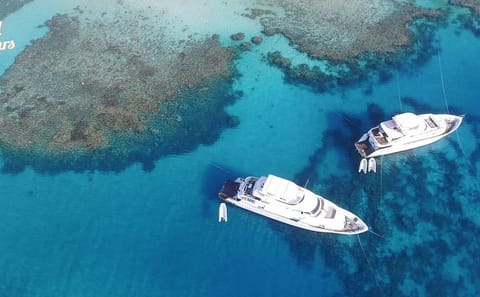 Snorkeling Day Trip to Giftun Island National Park from Hurghada