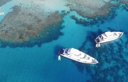 Snorkeling Day Trip to Giftun Island National Park from Hurghada