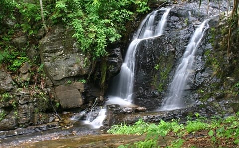 Langkawi Shared Full Day Group Tour With SkyCab & More