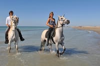 Antalya: Forest Horseback Riding with Lara Beach Photo Stop 2