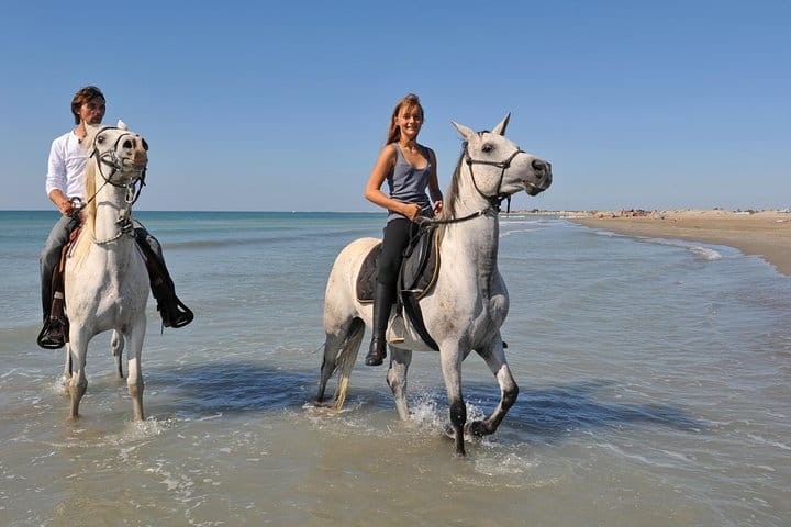 Antalya: Forest Horseback Riding with Lara Beach Photo Stop 2