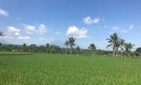 Bali ATV Quad Bike Adventure with Private Hotel Transfers 9