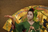The Art of Geisha: Exclusive Show & Gion Walking Tour 7