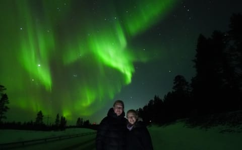 Northern Lights Minibus Tour to Abisko National Park, Kiruna