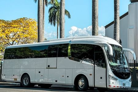 Reliable Transfer Service from SJO Airport to Jaco