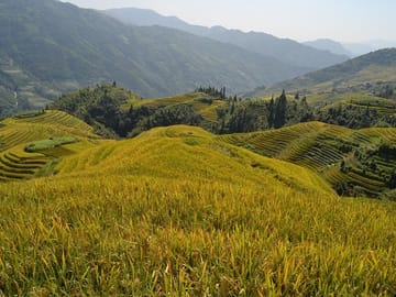 One Day Private Longshen Rice Terraces Tour Including Lunch