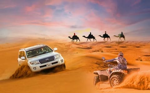Private Dubai Desert Safari with BBQ Dinner and Camel Ride