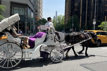 Manhattan Highlights Walking Tour: Central Park and Luxury Areas