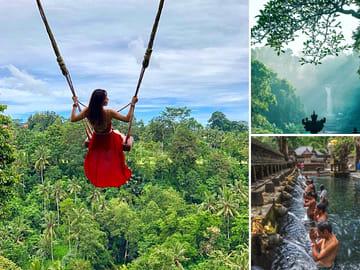 Ubud – Jungle Swing – Monkey Forest – Waterfall – Water Temple – FREE Wi-Fi