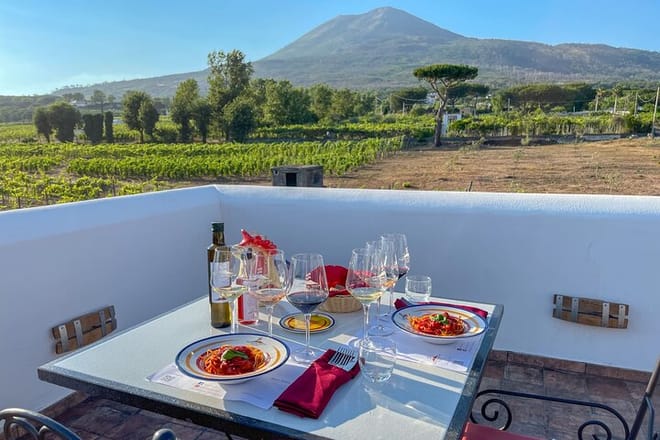 Organic Wine Tasting & Lunch Experience on Mt Vesuvius - Photo 1
