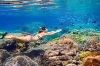 Snorkeling Day Trip With Dugong And Turtles Marsa Mubarak By Boat 5
