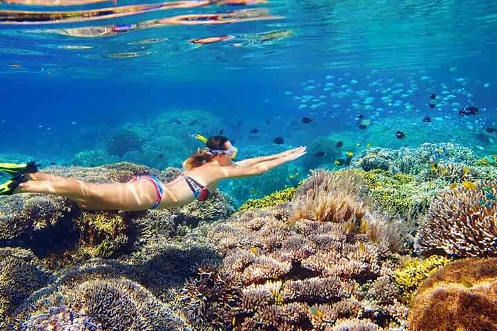 Snorkeling Day Trip With Dugong And Turtles Marsa Mubarak By Boat 5