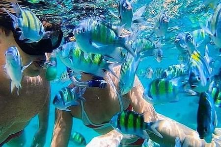 Snorkeling Adventure at Bali’s Blue Lagoon with Private Transport