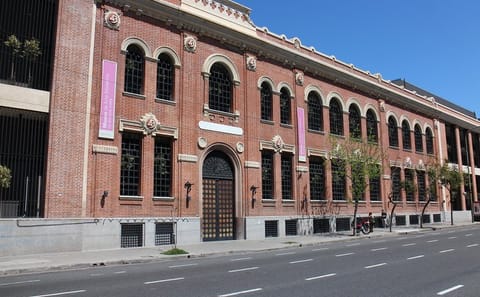 Private Art and Museum Tour in Buenos Aires