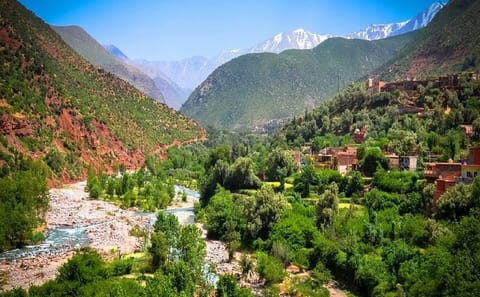 Private Day Trip to Atlas Mountains' 3 Valleys from Marrakech