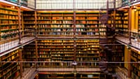 Rijksmuseum Guided Tour - With Reserved Entry 4
