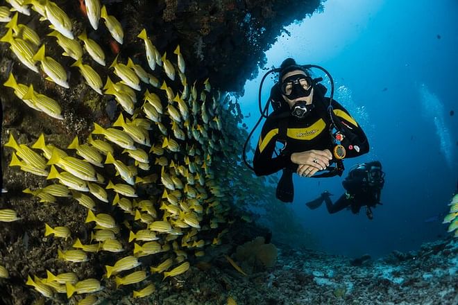 Descubra la aventura de buceo en Dubái con traslado privado
