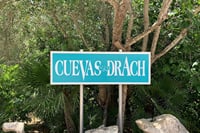 Drach Caves and Pearl Shop Mallorca Half Day Tour  5